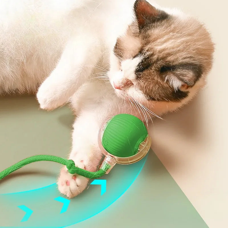 MeowMotion™ | Unterhalten Sie Ihre Katze
