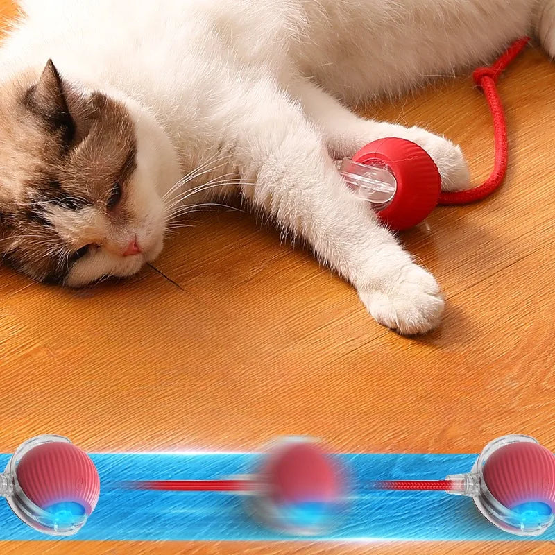 MeowMotion™ | Unterhalten Sie Ihre Katze