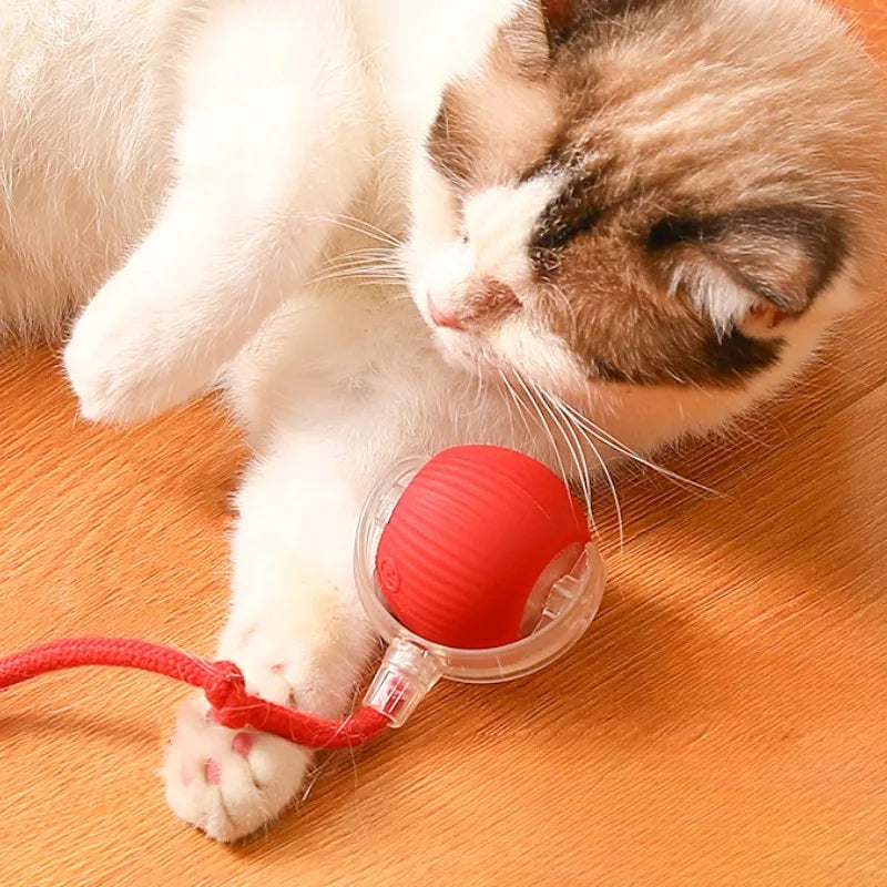 MeowMotion™ | Unterhalten Sie Ihre Katze